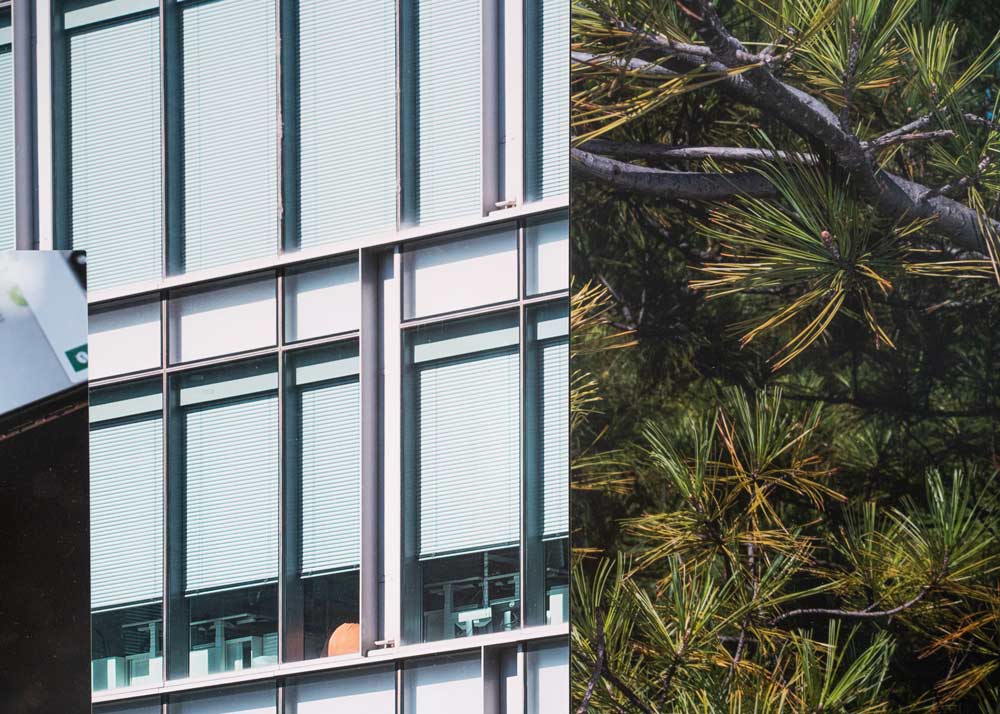 tender Beijing 2, Detail, Studio 2019